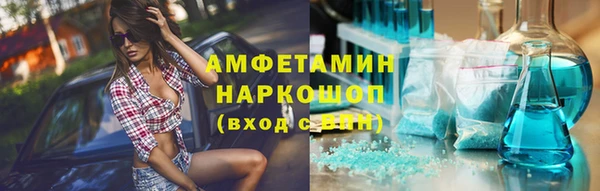 мет Алексин