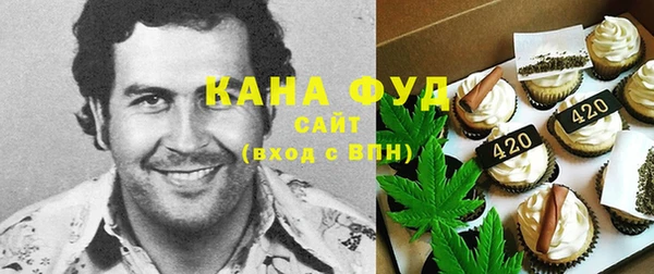 мет Алексин