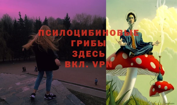 дживик Пересвет