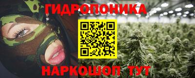 скорость Славгород