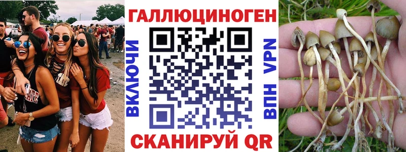 Галлюциногенные грибы Cubensis  kraken как войти  Шумерля 